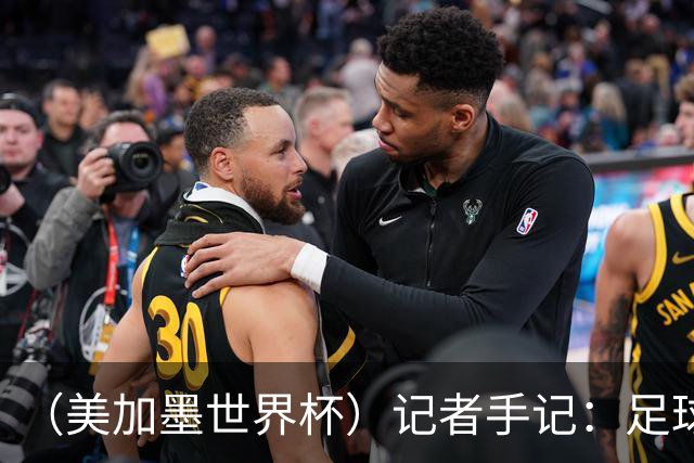 （美加墨世界杯）记者手记：足球世界，规则谁定？